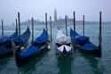 venezia-gondole.jpg venezia-gondole.jpg