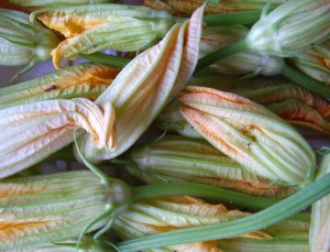 Zucchine di casa nostra