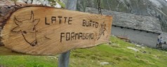 A piedi sulla Piana di Vigezzo