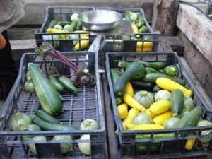 Filiera corta alla francese