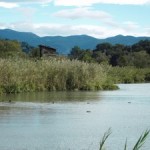 Parco anch’io