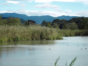 Parco anch’io