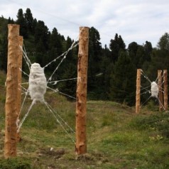 Land art e Jazz  in Val di Fiemme