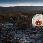 Land Art e Jazz in Val di Fiemme