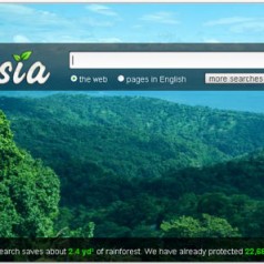 I click per la foresta pluviale