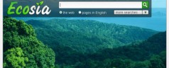 I click per la foresta pluviale