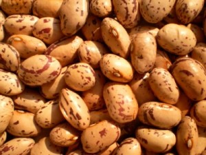 Ricette anti tumore