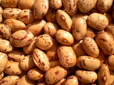 Fagioli Fagioli