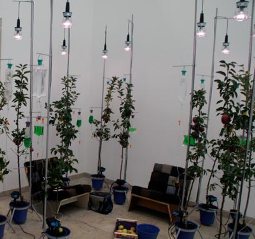 La natura imbrigliata al FuoriSalone