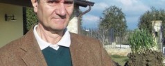 Piante più sane con le micorrize