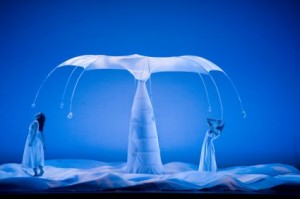 momix-6 In scena i Momix con lo spettacolo Bothanica