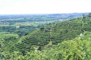 Vittoria del turismo sostenibile